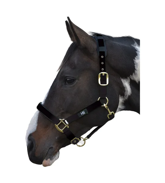 Hy Equestrian Deluxe Padded Head Collar- Black