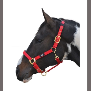 Hy Equestrian Deluxe Padded Head Collar- Red