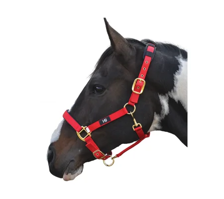 Hy Equestrian Deluxe Padded Head Collar- Red