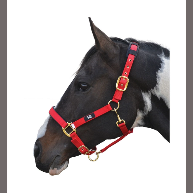 product Image for Hy Equestrian Deluxe Padded Head Collar- Red