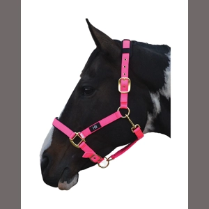 Hy Equestrian Deluxe Padded Head Collar- Hot Pink