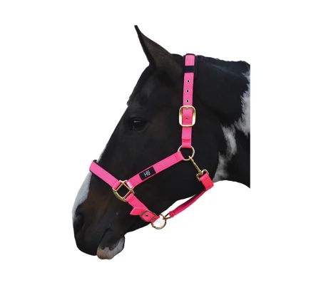 Hy Equestrian Deluxe Padded Head Collar- Hot Pink