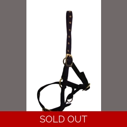 Hy Equestrian Foal Head Collar - Black - One Size