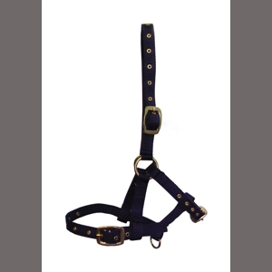 Hy Equestrian Foal Head Collar - Navy - One Size