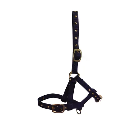 Hy Equestrian Foal Head Collar - Navy - One Size