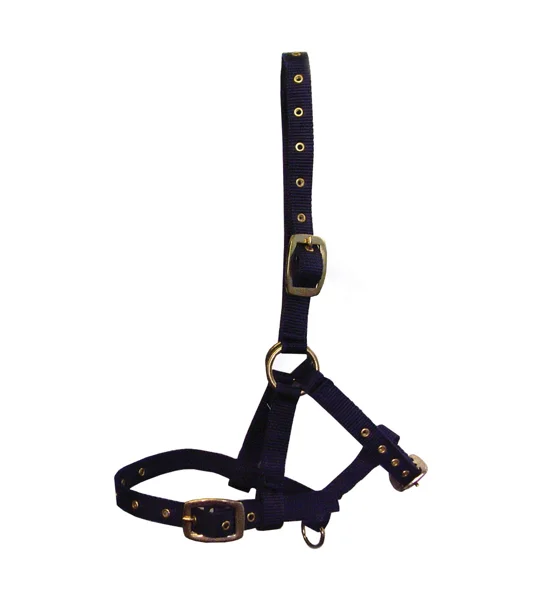 Hy Equestrian Foal Head Collar - Navy - One Size