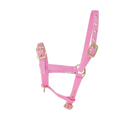 Hy Equestrian Foal Head Collar - Pink - One Size