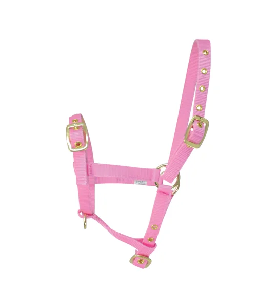 Hy Equestrian Foal Head Collar - Pink - One Size