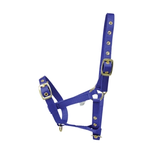 Hy Equestrian Foal Head Collar - Blue - One Size
