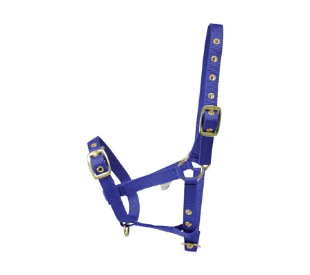 Hy Equestrian Foal Head Collar - Blue - One Size