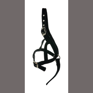 Hy Equestrian Foal Slip Halter - Black