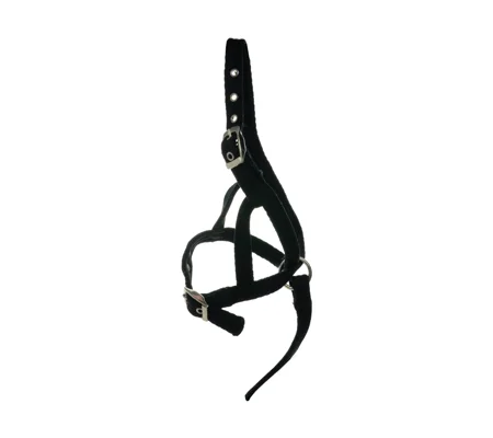 Hy Equestrian Foal Slip Halter - Black