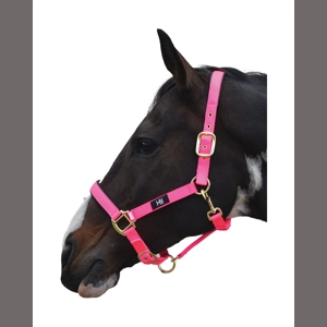 Hy Equestrian Grand Prix Head Collar - Hot Pink