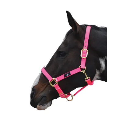 Hy Equestrian Grand Prix Head Collar - Hot Pink
