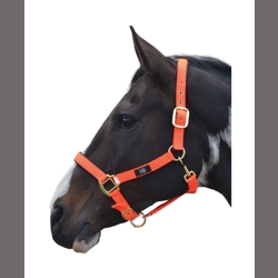 Hy Equestrian Grand Prix Head Collar - Hot Orange