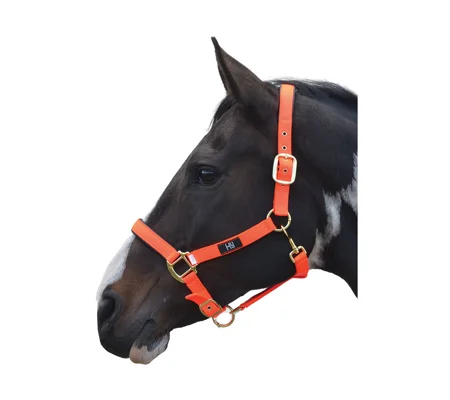 Hy Equestrian Grand Prix Head Collar - Hot Orange