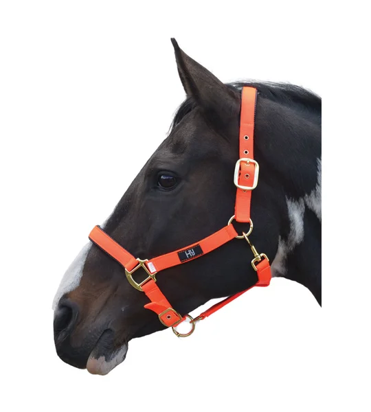Hy Equestrian Grand Prix Head Collar - Hot Orange