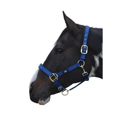 Hy Equestrian Grand Prix Head Collar - Navy