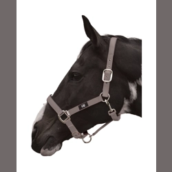 Hy Equestrian Grand Prix Head Collar - Grey