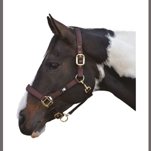Hy Equestrian Grand Prix Head Collar - Chocolate Brown