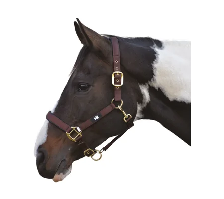 Hy Equestrian Grand Prix Head Collar - Chocolate Brown