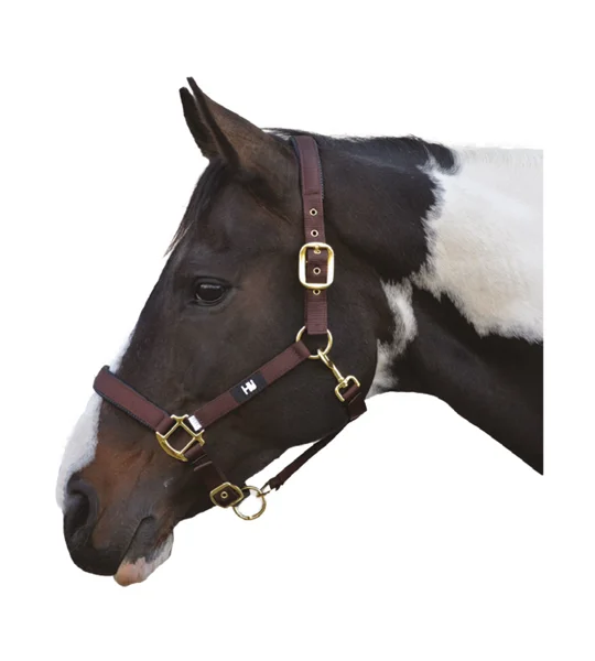 Hy Equestrian Grand Prix Head Collar - Chocolate Brown