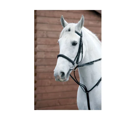 Hy Equestrian Market Harborough - Brown - Cob/Full