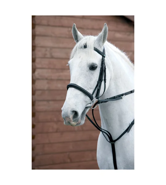 Hy Equestrian Market Harborough - Black - Cob/Full