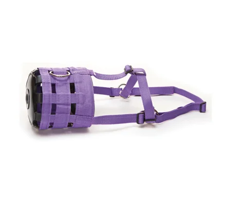 Hy Equestrian Muzzle - Purple