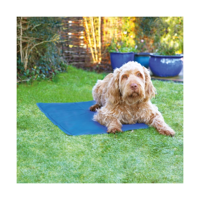 product Image for Rosewood Pet Cool Mat