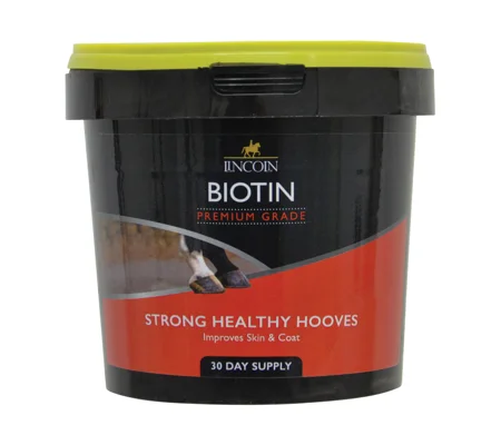 Lincoln Biotin - 600g