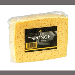 Lincoln Sponge