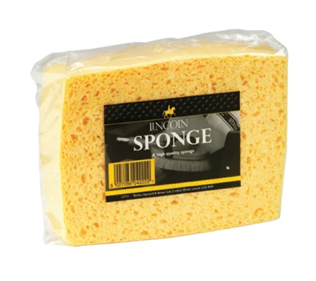 Lincoln Sponge