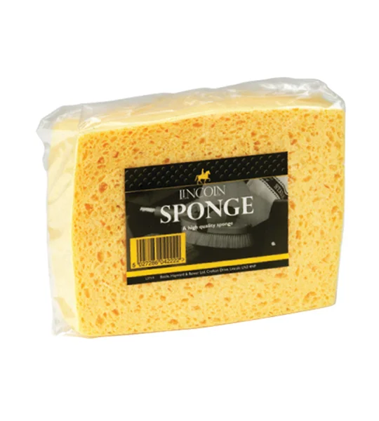 Lincoln Sponge