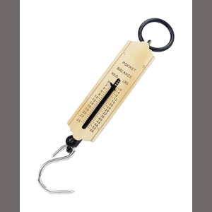 Lincoln Spring Balance