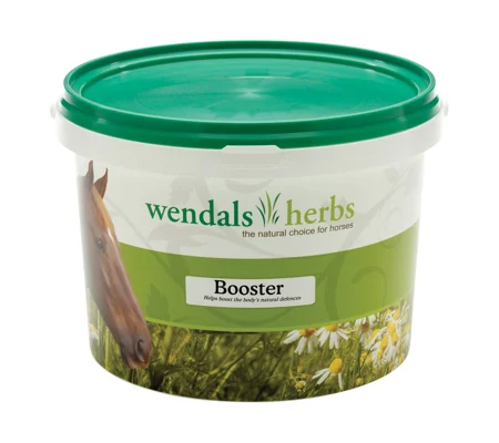 Wendals Booster - 1kg
