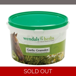 Wendals Garlic Granules - 2.5kg