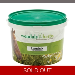 Wendals Laminix - 1kg