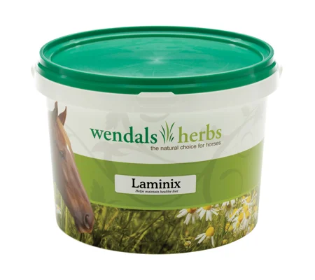 Wendals Laminix - 1kg