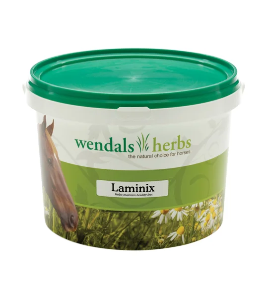Wendals Laminix - 1kg