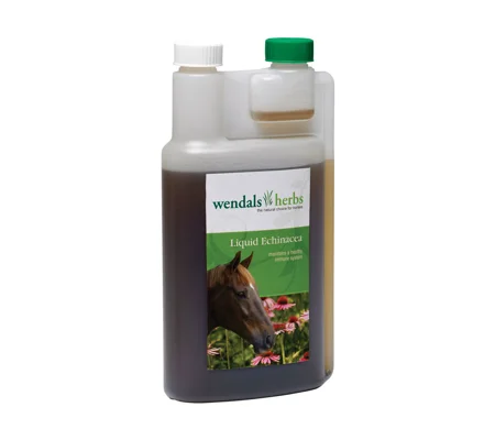 Wendals Liquid Echinacea - 1 litre