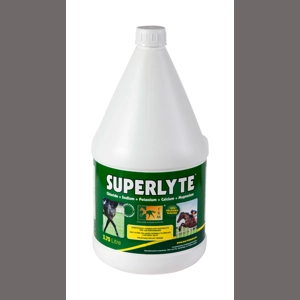 2:2:1 Superlyte Syrup3.75 litre