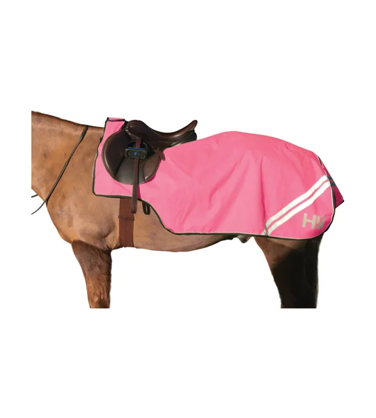 HyVIZ Reflector Exercise Sheet Pink