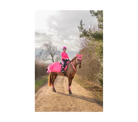 HyVIZ Reflector Exercise Sheet Pink