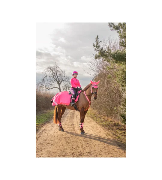 HyVIZ Reflector Exercise Sheet Pink
