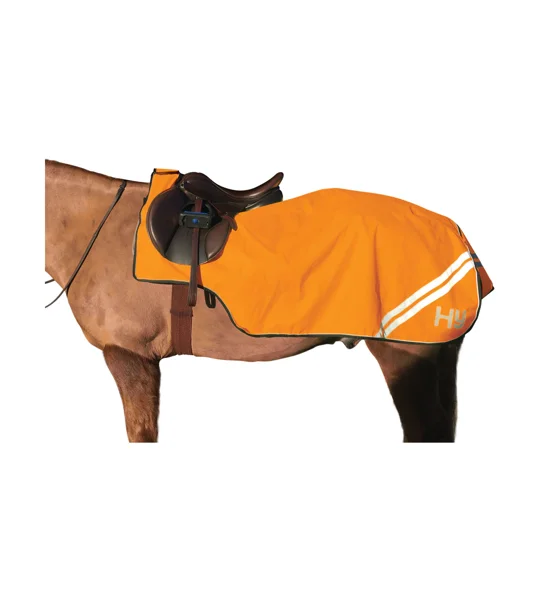 HyVIZ Reflector Exercise Sheet orange