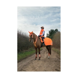 HyVIZ Reflector Exercise Sheet orange