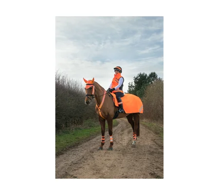 HyVIZ Reflector Exercise Sheet orange