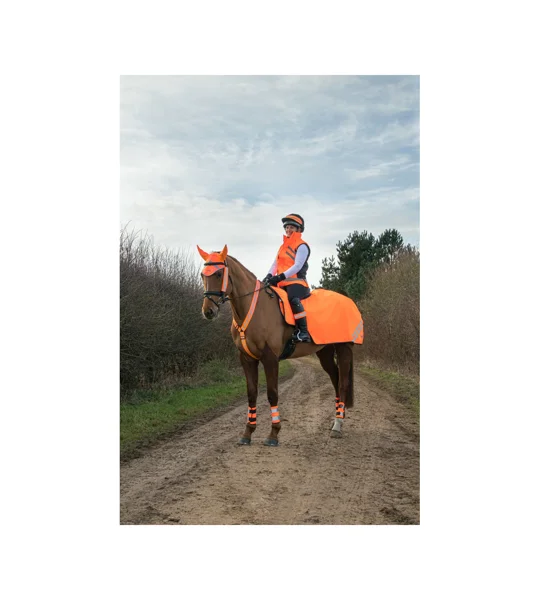 HyVIZ Reflector Exercise Sheet orange