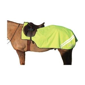 HyVIZ Reflector Exercise Sheet yellow